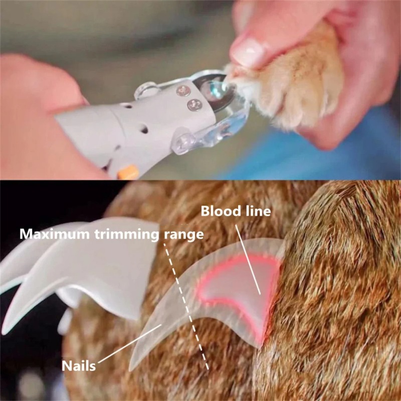 1PC Pet Nail Clipper with LED  - Dog Grooming Clippers 评论和价格