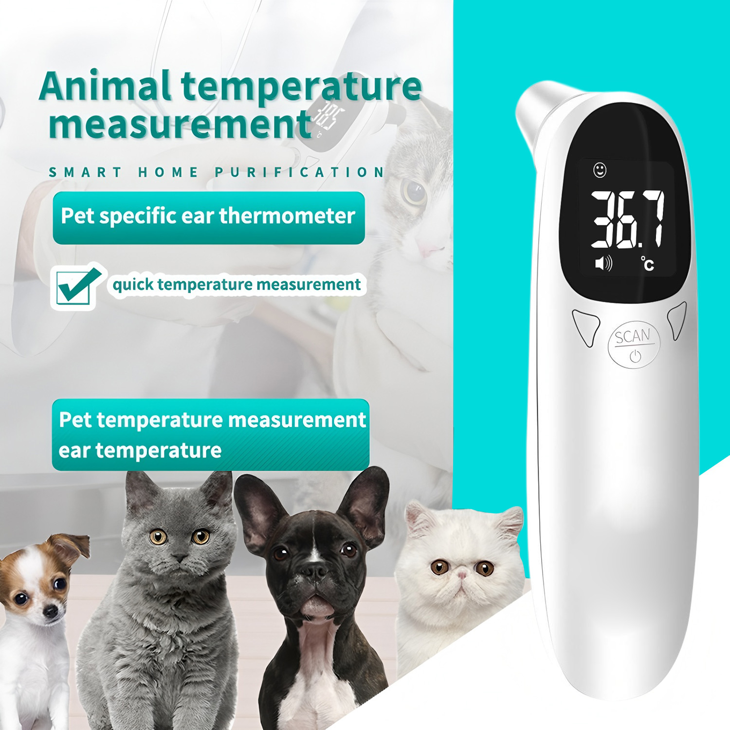 Pet Ear Digital Thermometer No - Pet Supplies Direct 评论和价格