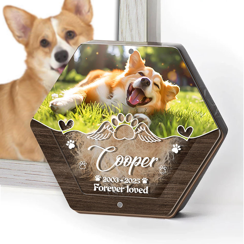 Personalized Name Wooden Carvi - Pet Supplies Direct 评论和价格