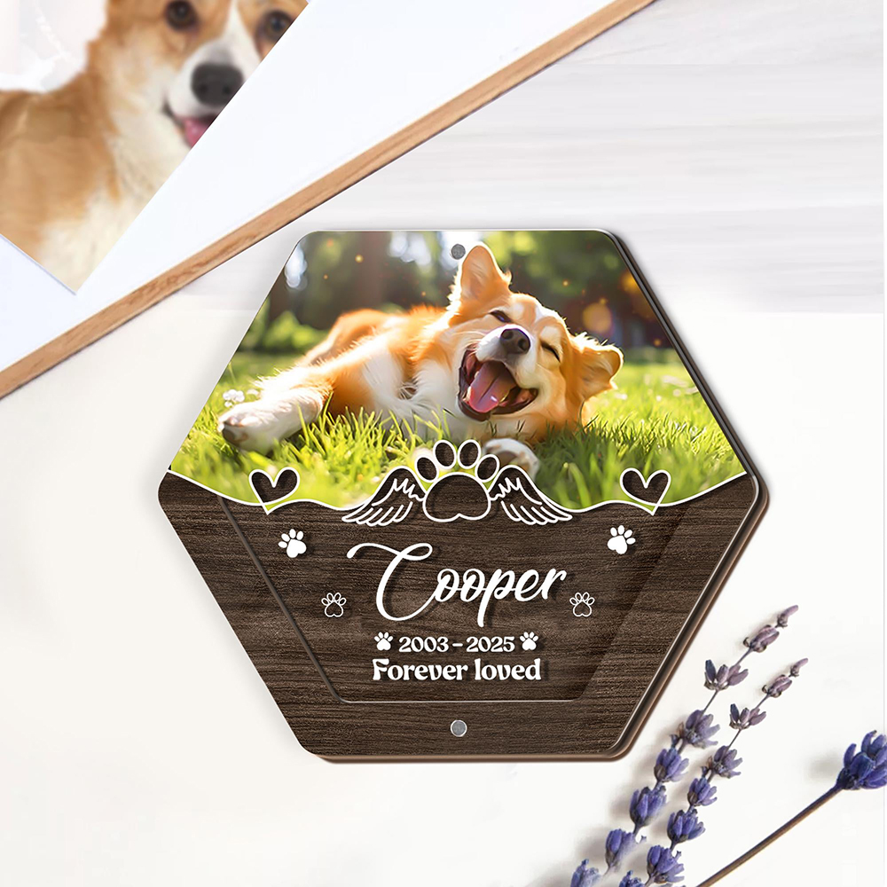 Personalized Name Wooden Carvi - Pet Supplies Direct 评论和价格