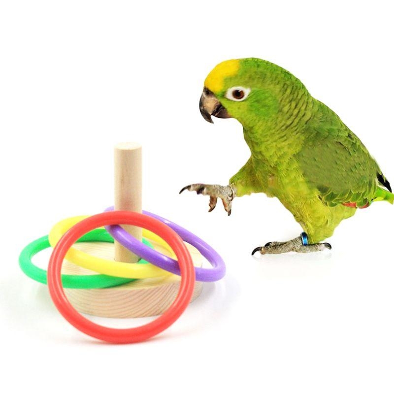 Bird Parrot Wooden Platform Pl - Pet Supplies Ringwood 评论和价格