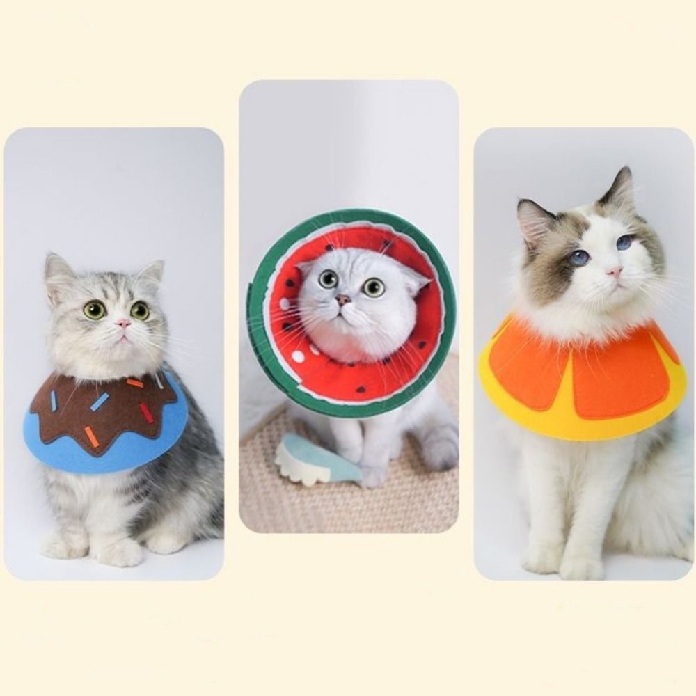 Practical Soft Elizabethan Col - Pet Supplies Ringwood 评论和价格