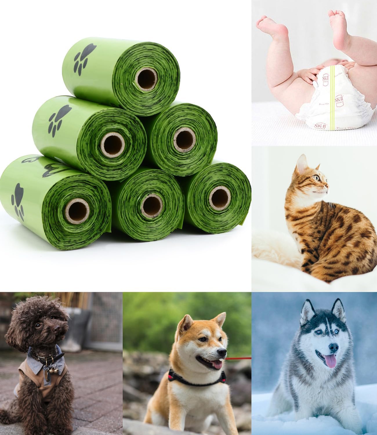 Pet Biodegradable Trash Bag Do - Poop Bag Dispenser 评论和价格