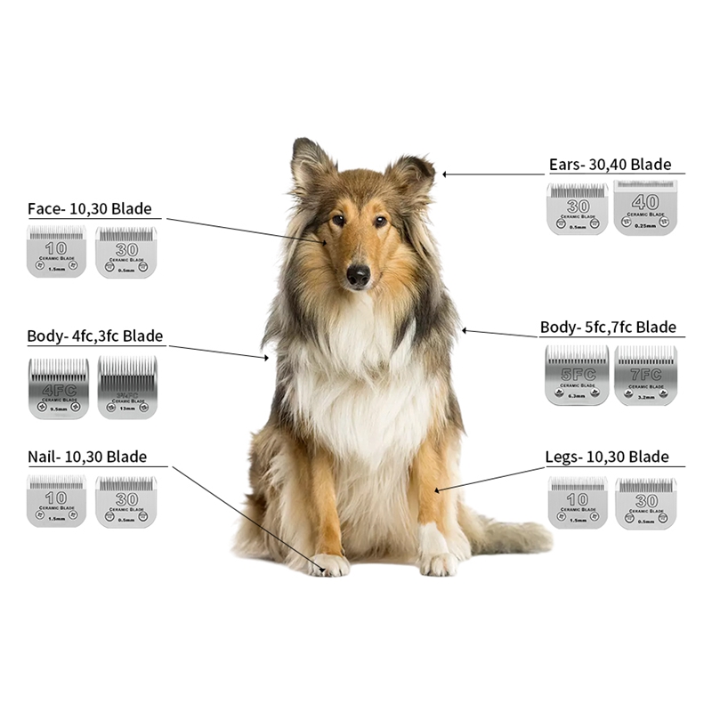 Professional Detachable Pet Do - Dog Grooming Clippers 评论和价格