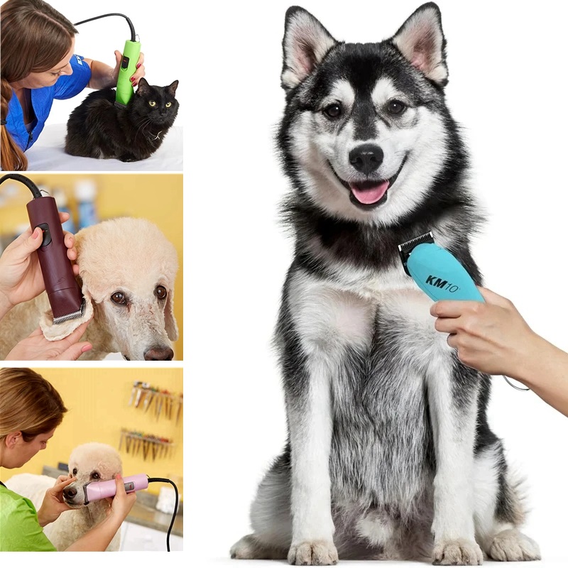 Professional Detachable Pet Do - Dog Grooming Clippers 评论和价格