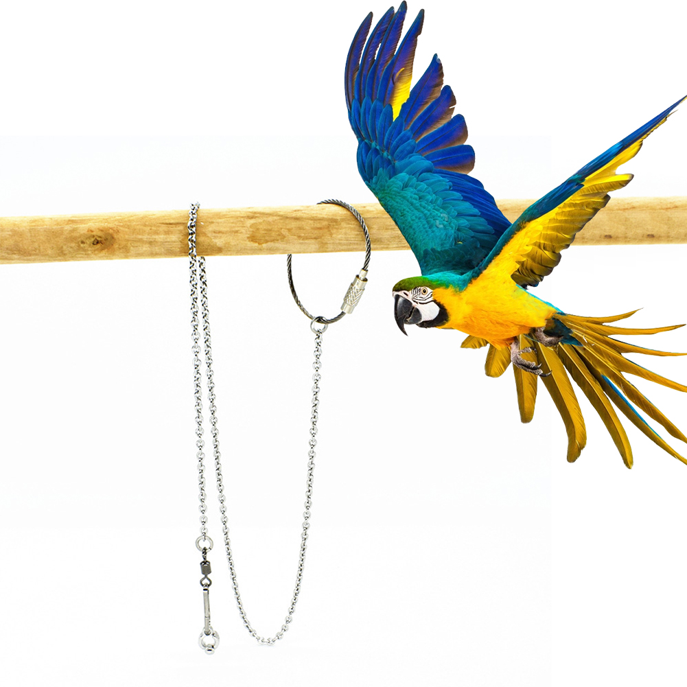 1Pcs Pet Parrot Leg Ring Ankle - Pet Supplies Ringwood 评论和价格