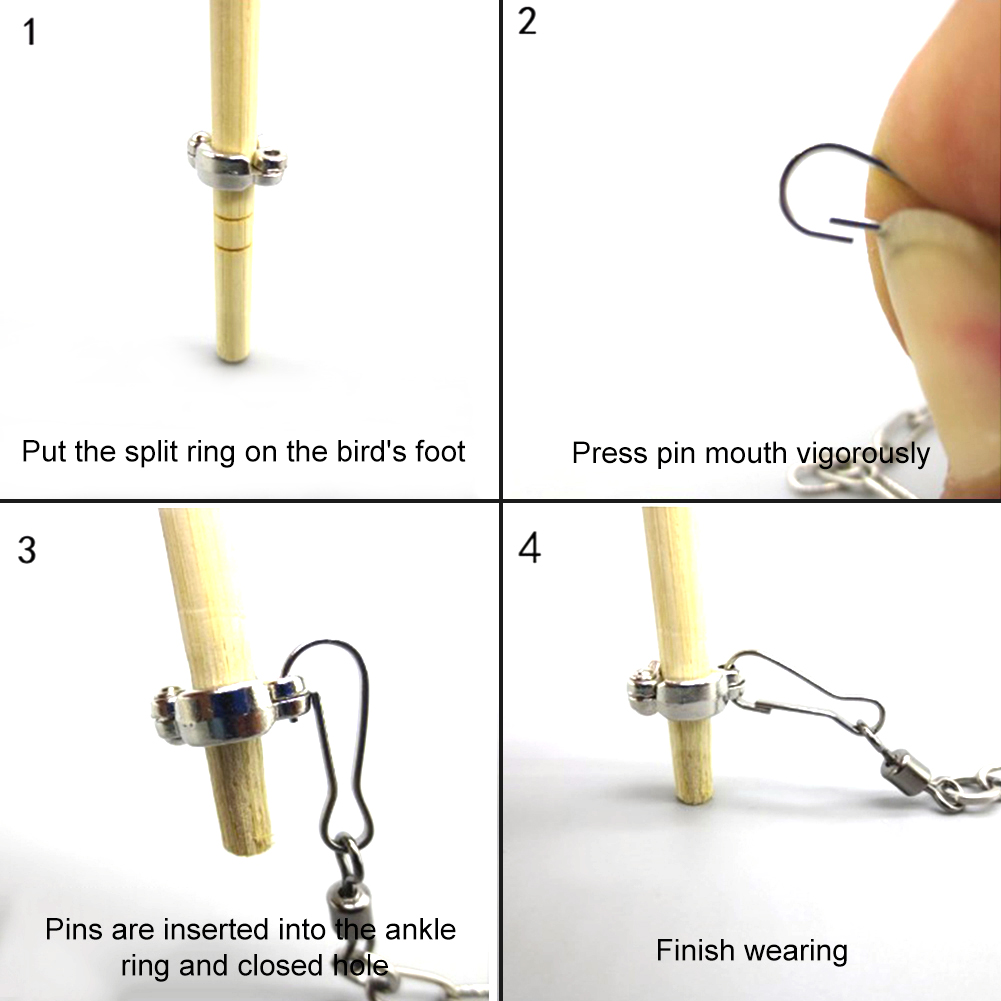 1Pcs Pet Parrot Leg Ring Ankle - Pet Supplies Ringwood 评论和价格